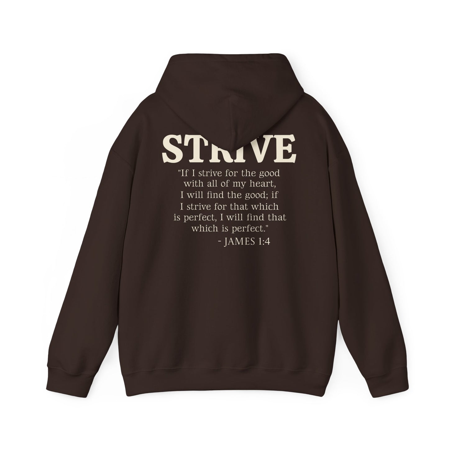 Strive Bible Verse Hoodie Sweatshirt