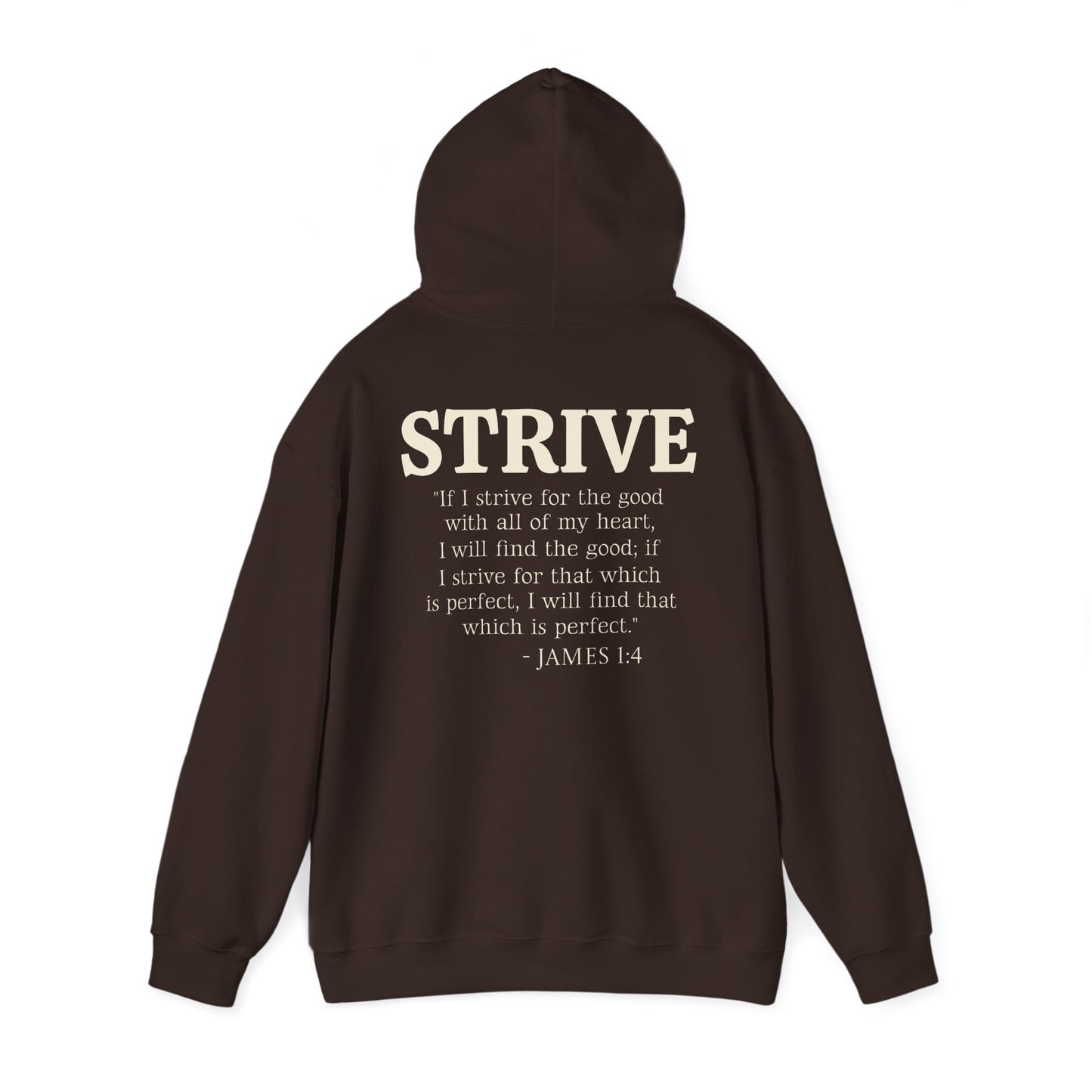 Strive Bible Verse Hoodie Sweatshirt