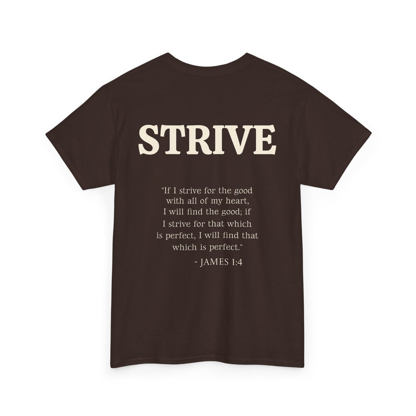 Strive T-shirt - Unisex Heavy Cotton Tee with Bible Verse