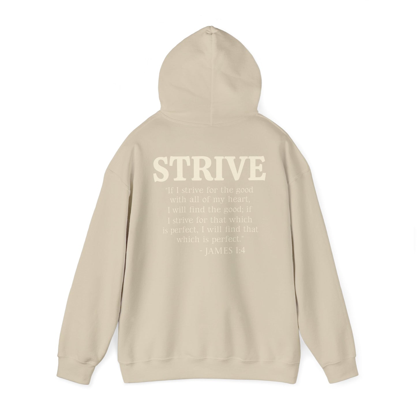 Strive Bible Verse Hoodie Sweatshirt