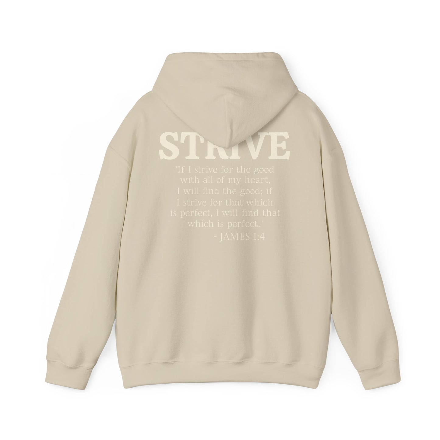 Strive Bible Verse Hoodie Sweatshirt