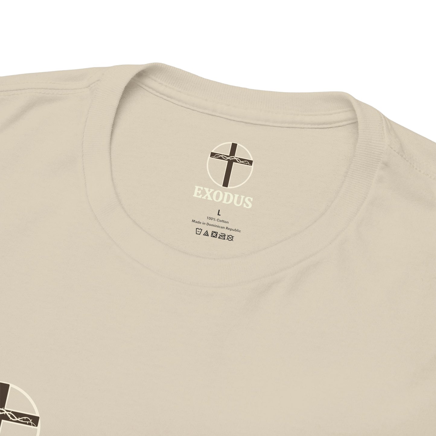 Strive T-shirt - Unisex Heavy Cotton Tee with Bible Verse