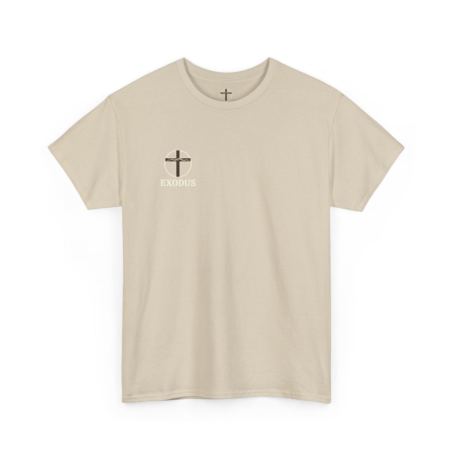 Strive T-shirt - Unisex Heavy Cotton Tee with Bible Verse